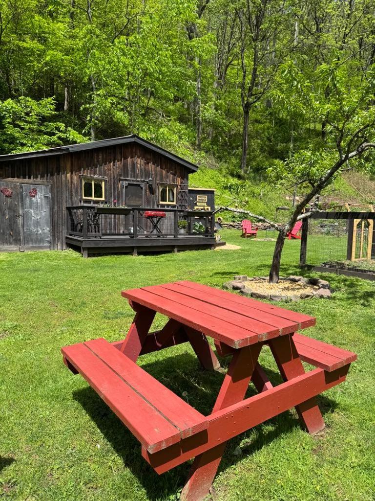 The Renovated Barn At Seneca Rocksヴィラ エクステリア 写真